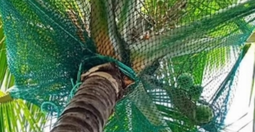 BIRD NETTING  IN BENGALURU
